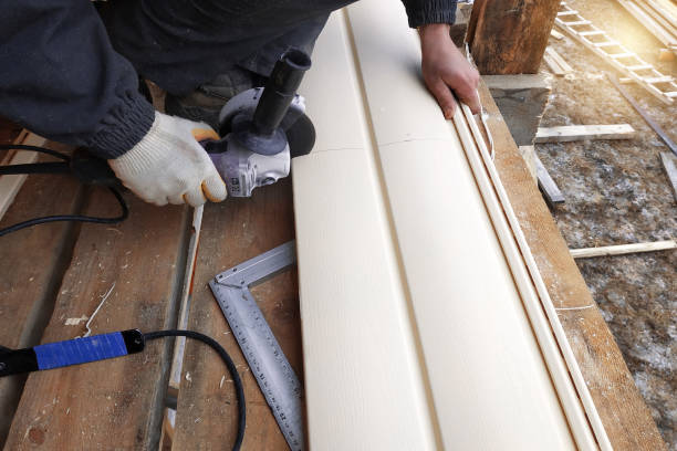 Best Insulated Siding Installation  in Cedar Lake, IN