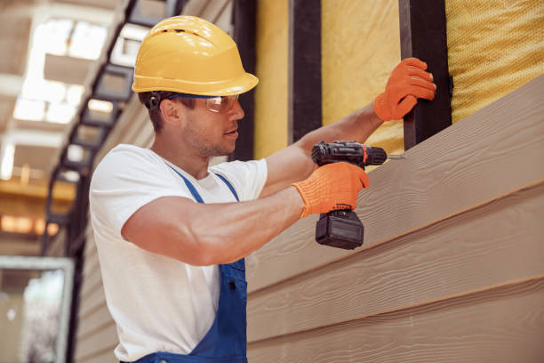 Best Stone Veneer Siding  in Cedar Lake, IN