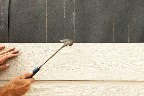Best Aluminum Siding Installation  in Cedar Lake, IN